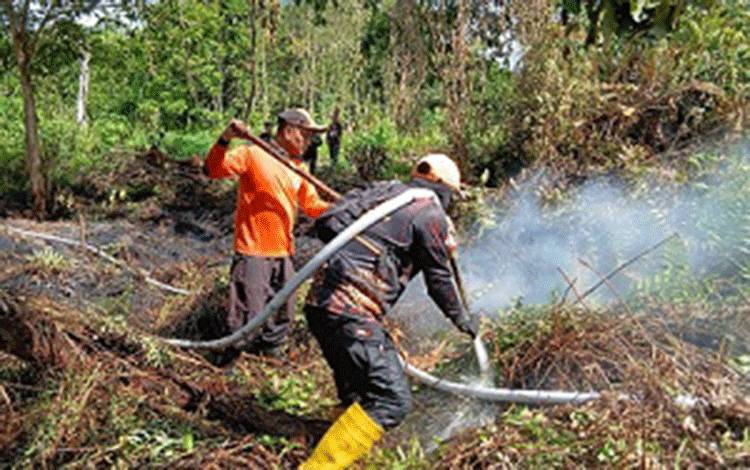 9 Titik Panas Terdeteksi, Kotim Dihantui Ancaman Karhutla