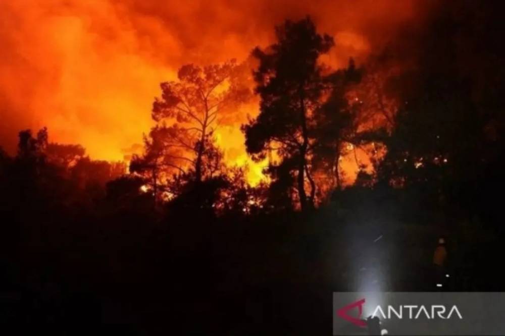 1500 Petugas Damkar di Portugal Berjuang Padamkan Lima Karhutla