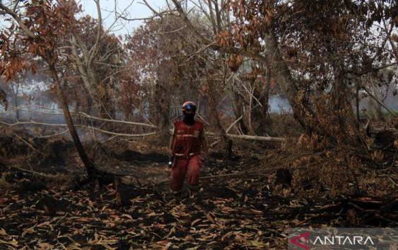 BMKG Deteksi Peningkatan Titik Panas di Kalimantan dan Sumatera