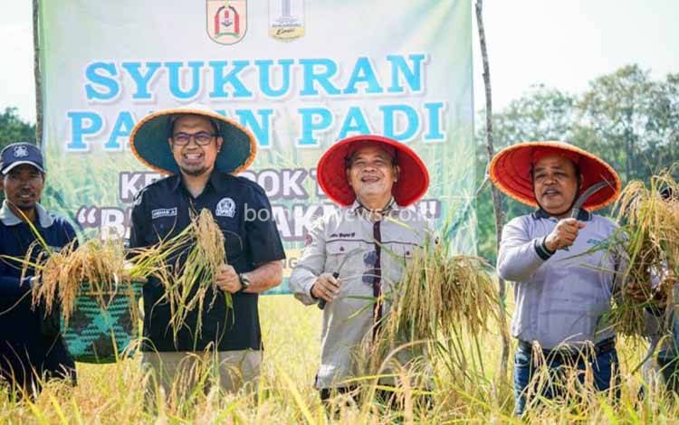 Kepala Dinas Ketahanan Pangan, Pertanian dan Perikanan (DKP3) Kota Banjarbaru Abu Yazid Bustami (tengah) saat panen padi di Kelompok Tani Bumi Makmur Kelurahan Sungai Ulin Banjarbaru, beberapa waktu lalu. (ANTARA/HO-Medcen Pemkot Banjarbaru)