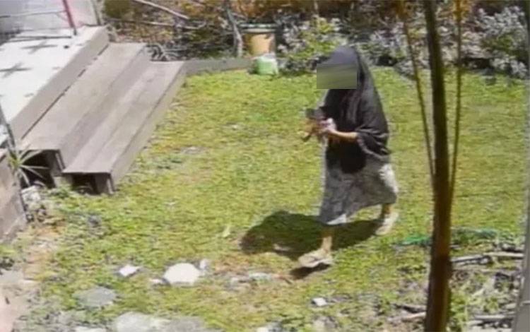 Aksi Buang Anak Kucing Sembarangan di Kuala Kapuas Dikeluhkan Warga