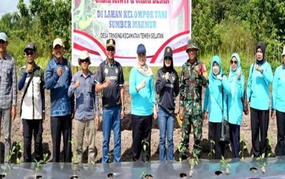 Pj Ketua TP PKK dan Dinas Pertanian Barito Utara Dorong Ketahanan Pangan Keluarga