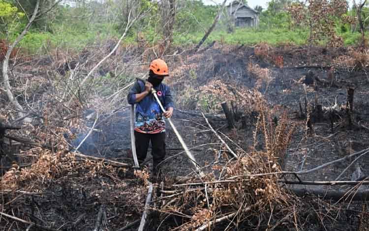 77 Kejadian Karhutla di Palangka Raya, BPBD Imbau Masyarakat Waspada