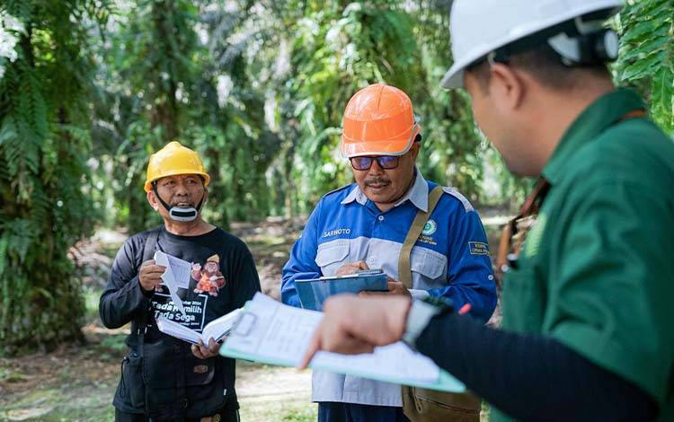APKSM Award Volume 2 Dorong Perkebunan Sawit Mandiri yang Berkelanjutan