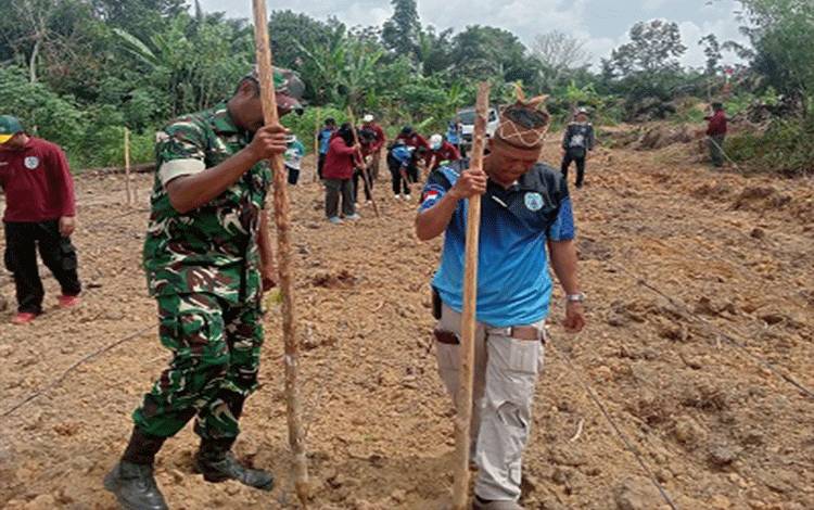 Desa Batu Kotam Mantapkan Ketahanan Pangan dengan Menanam Jagung