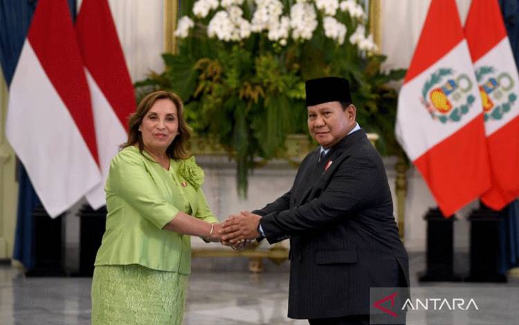 Presiden Peru Puji Prabowo Soal Kerja Sama Ekspor Blueberry dan Delima