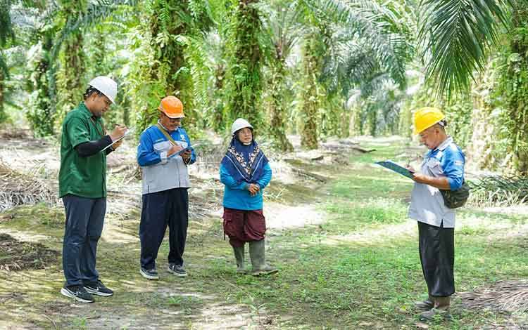 Pengacara Kalteng Tuding Ada Backing di Balik Maraknya Penjarahan dan Pencurian Sawit
