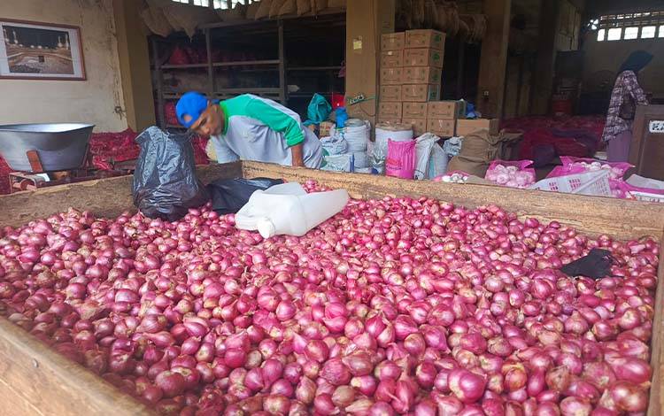 Inflasi Tahunan Sampit Juli 2025 Capai 2,46 Persen, BPS Ungkap Pemicunya