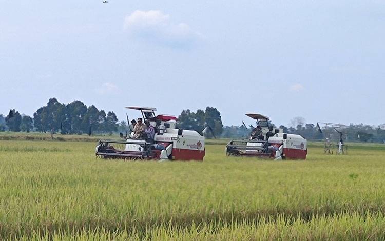 Pemerintah Pacu Food Estate Hadapi Ancaman Krisis Pangan Global