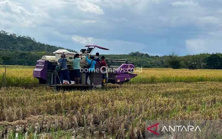 Kementan Targetkan Cetak Sawah Rakyat 30 Ribu Hektare di Kalsel