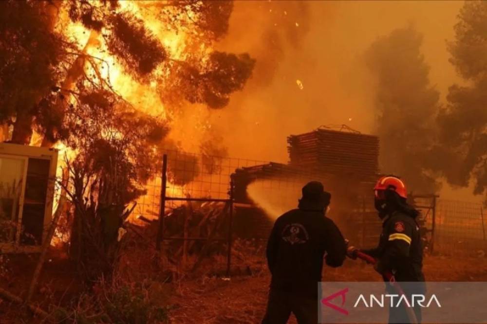 Kebakaran Hutan Membuat 13 Petugas Pemadam Terluka