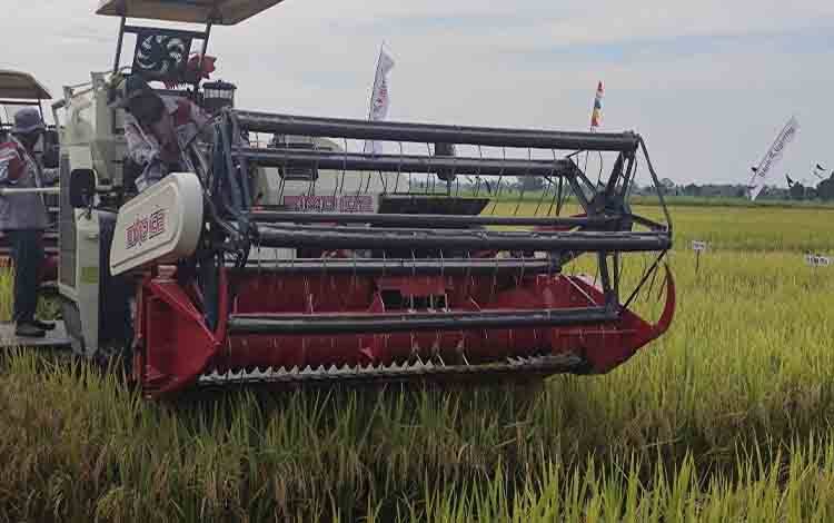 FIAN Indonesia Tegaskan Hak Atas Pangan dan Gizi sebagai Hak Asasi Manusia