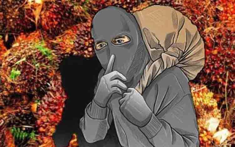 Pencurian Sawit Marak di Lamandau, Petani Resah