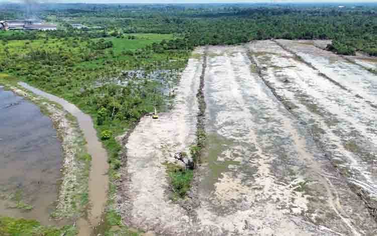 Lamandau Pacu Cetak Sawah: 91 Hektare Lahan Siap untuk Pertanian Rakyat