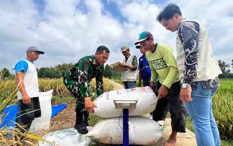 Tim Jemput Gabah Perum Bulog Kantor Cabang Cirebon dikawal Babinsa membeli gabah petani seharga Rp6.500 per kilogram di Desa Panawuan Kecamatan Cigandamekar, Kabupaten Kuningan, Jawa Barat, Sabtu (9/8/2025). ANTARA/Harianto