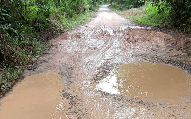 Jalan Haringen-Katambung Rusak Parah, Warga Keluhkan Sering Terjadi Kecelakaan