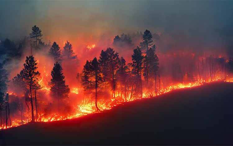 Amukan Api Landa Spanyol-Portugal, 82 Ribu Hektare Hutan Musnah