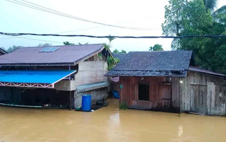 Banjir Meluas di Mandau Talawang, Selain Curah Hujan, WALHI Soroti Peran Deforestasi dan Kerusakan Lingkungan