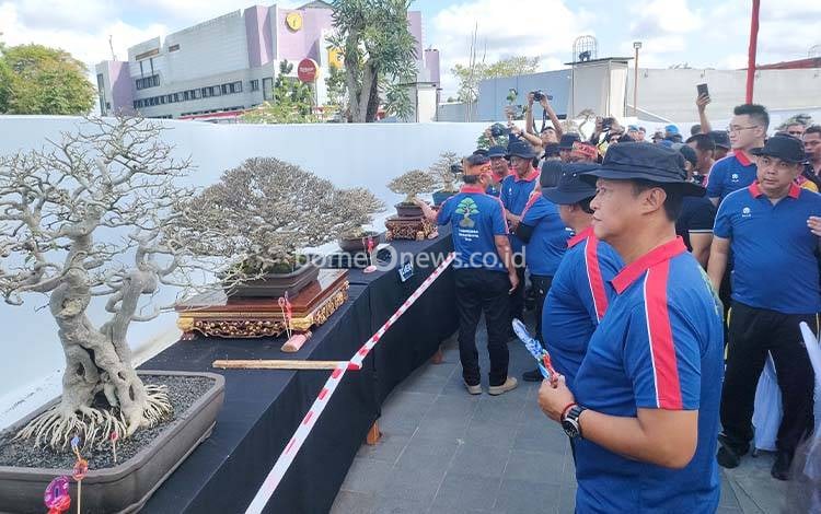Kapolda Kalteng Irjen Pol Iwan Kurniawan saat melihat Bonsai di Festival Bonsai 2025 di Bundaran Besar Palangka Raya (Foto : PATHUR)