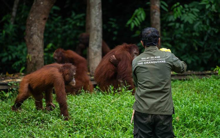 Pulau Salat Jadi Percontohan Komitmen Konservasi Perusahaan Kelapa Sawit