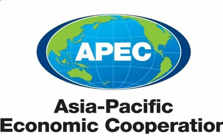 Indonesia Gencarkan Diplomasi Investasi dalam Forum APEC IEG2
