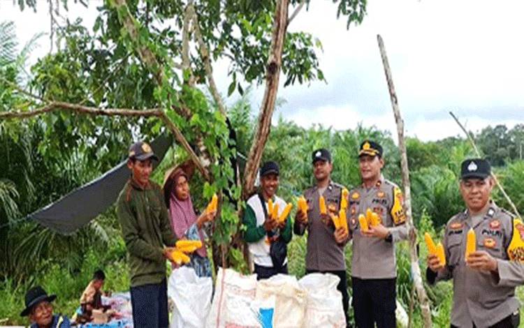 Polres Barut Kawal Panen Jagung Tahap III di Sei Rahayu I, Tegaskan Komitmen Dukung Swasembada Pangan