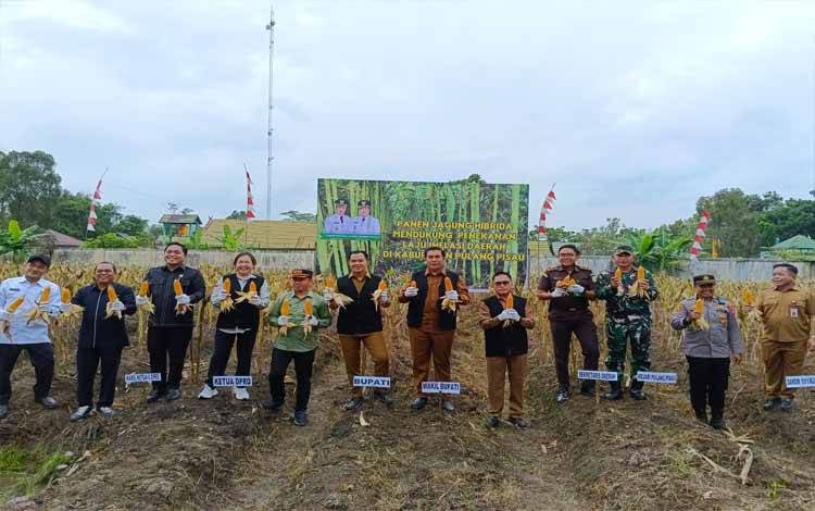 Bupati dan Wakil Bupati Pulang Pisau Panen Jagung Hibrida di Mentaren