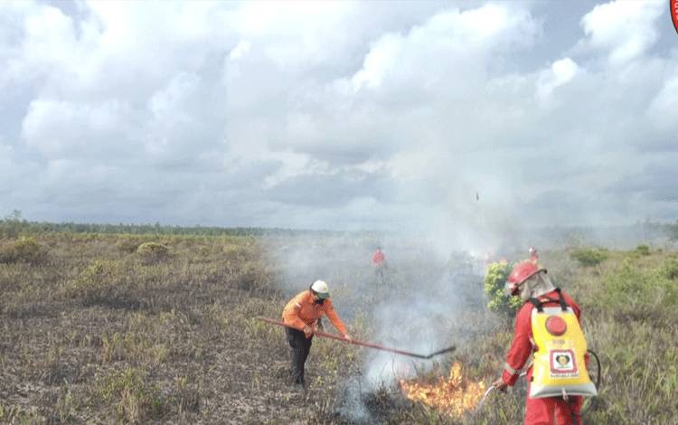 10 Hektar Lahan di Perbatasan Teluk Bogam dan Keraya Hangus Terbakar