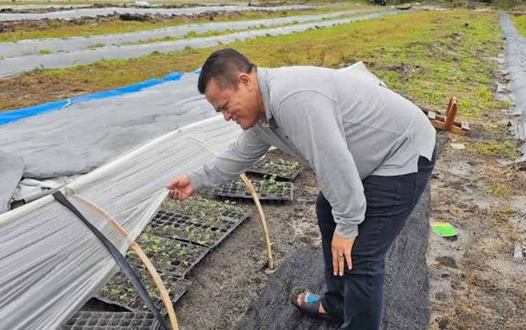 Petuk Barunai Potensial Dikembangkan sebagai Lahan Pertanian Sayur dan Buah