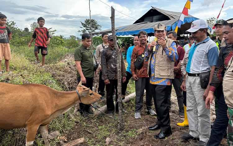 Bupati Barito Timur, M Yamin, saat menyerahkan secara simbolis 25 ekor bibit sapi bali kepada lima kelompok ternak, Jumat, 12 September 2025. (FOTO: IST)