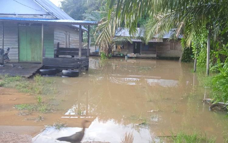 Belasan Rumah di Desa Satiung Kotim Terendam Banjir Akibat Hujan Deras
