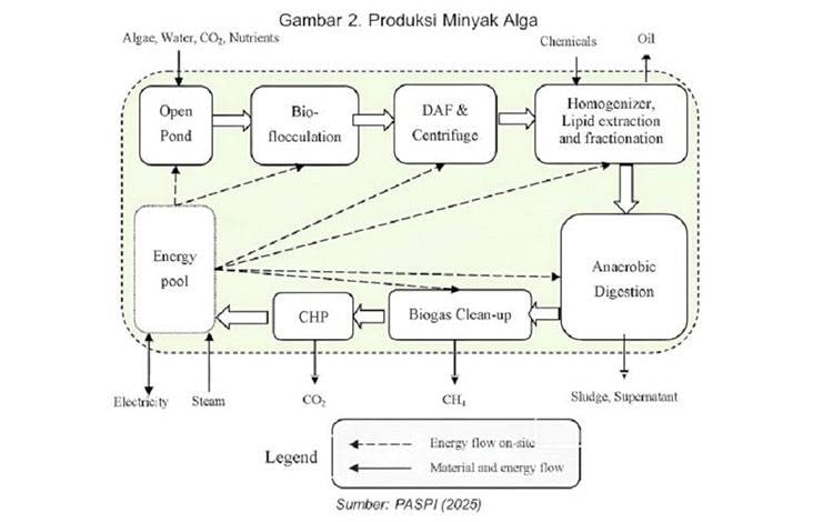 BPDP Dorong Teknologi Biokimia untuk Perkuat Produksi Biohidrokarbon Sawit
