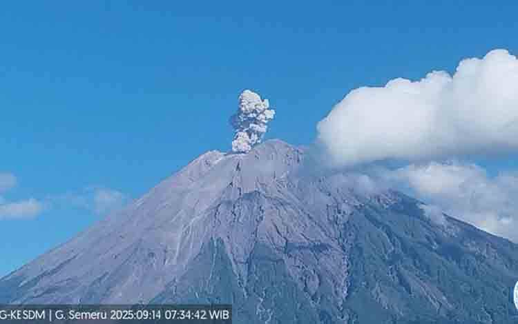 Semeru Empat Kali Erupsi dengan Tinggi Letusan hingga 800 Meter
