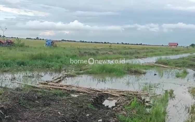 Petani di Desa Lampuyang Terancam Gagal Panen Akibat Banjir