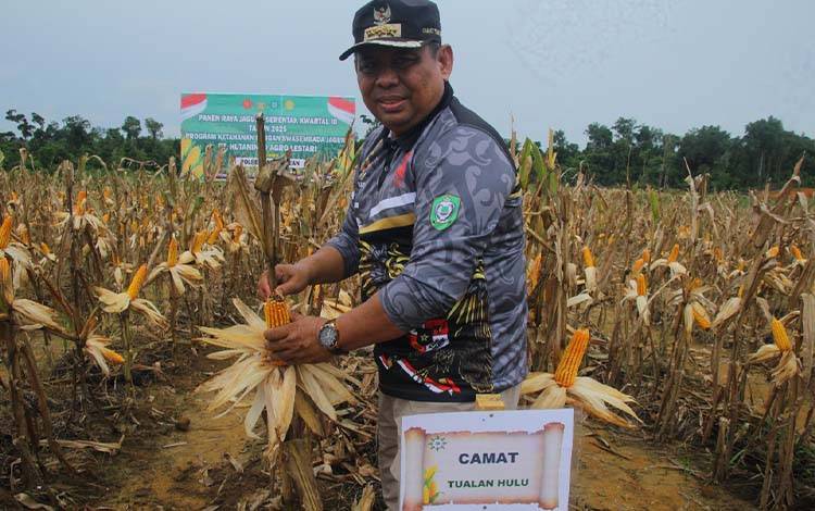Tualan Hulu Jalankan Program Ketahanan Pangan Swasembada Jagung