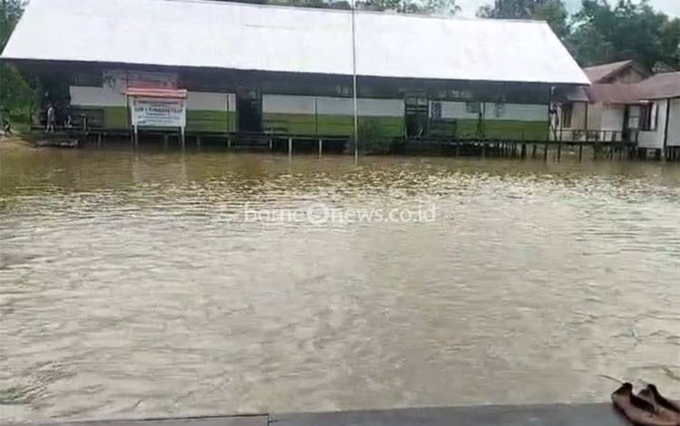 Perjuangan Belajar-Mengajar SDN 1 Tumbang Tilap Dibayangi Banjir Setiap Musim Hujan