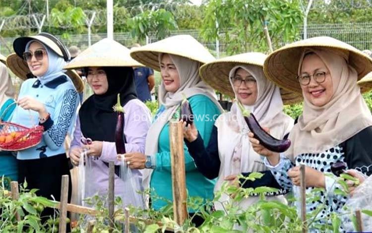 Pj Ketua TP PKK Barito Utara Ikut Tanam Buah di Palangka Raya: Dorong Kemandirian Pangan Keluarga