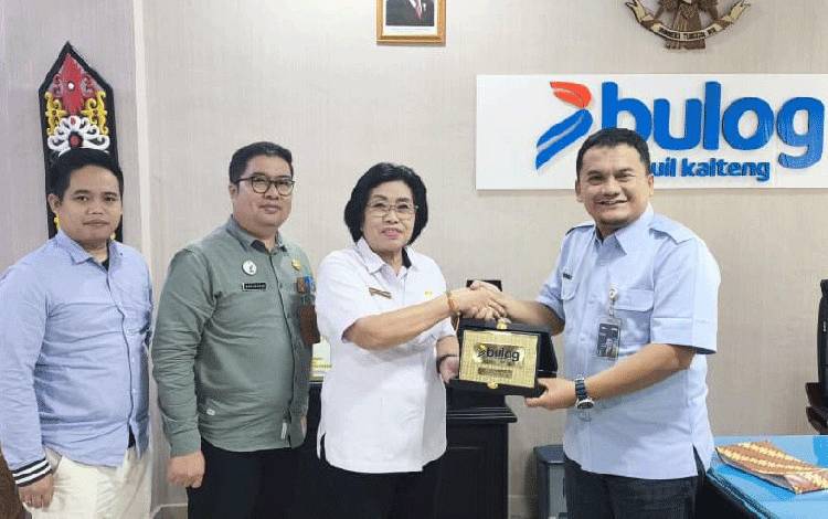 Wakil Bupati Gunung Mas: Bulog Kalteng Siap Serap Hasil Panen Jagung Hibrida Petani Gumas