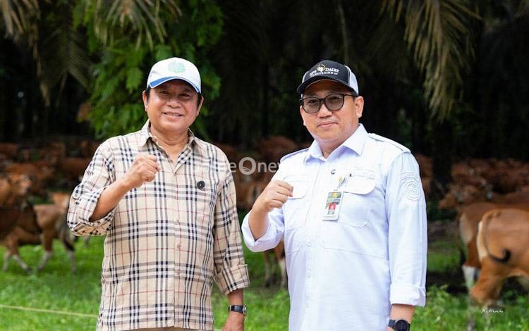 Dirjen PKH Kementan Kunjungi PT Sulung Ranch, Sapi Wagyu Mulai Dikembangkan di Kalimantan Tengah
