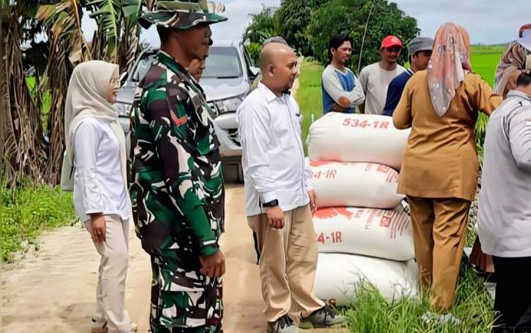 Bulog Serap Gabah 12.000 Ton dari Petani Kotim