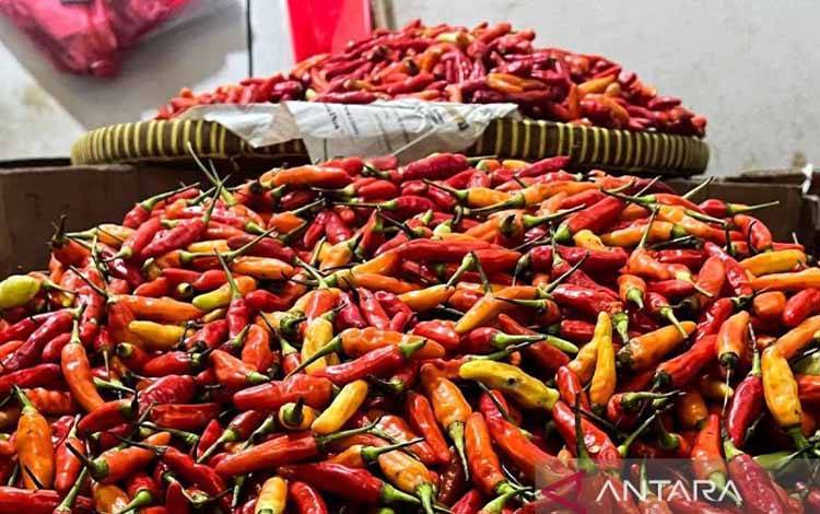 Harga Beras Medium Turun Jadi Rp13.678/Kg, Cabai Rawit Rp46.372/Kg