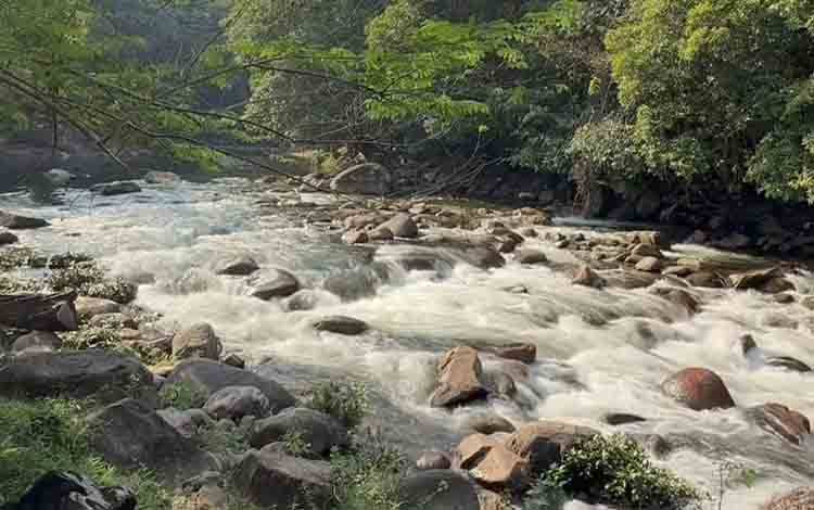 Keindahan Alam Lamandau: Air Terjun dan Hutan yang Memukau di Perbatasan Kalteng-Bar Harus Dijaga