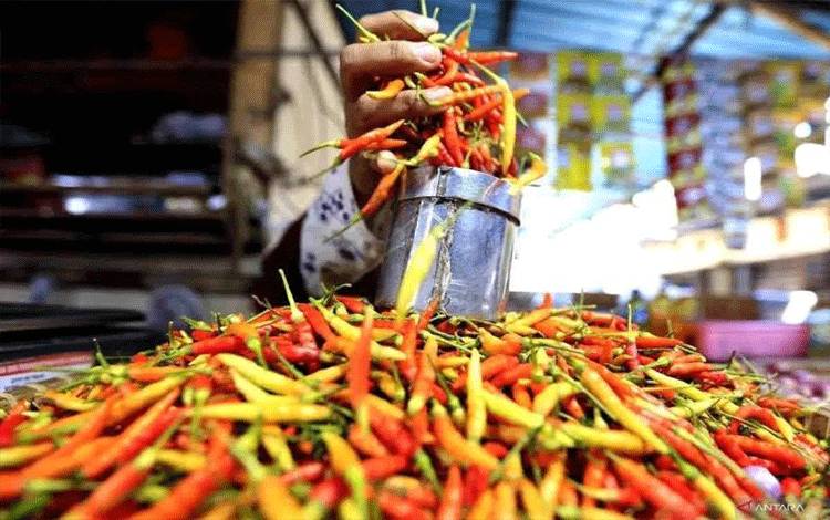 Harga Beras Medium Turun Jadi Rp13.709/kg, Cabai Rawit Rp44.911/kg