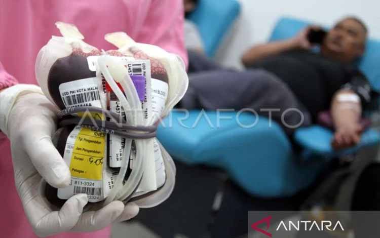 Dokter: Rutin Donor Darah Turunkan Risiko Penyakit Jantung dan Stroke