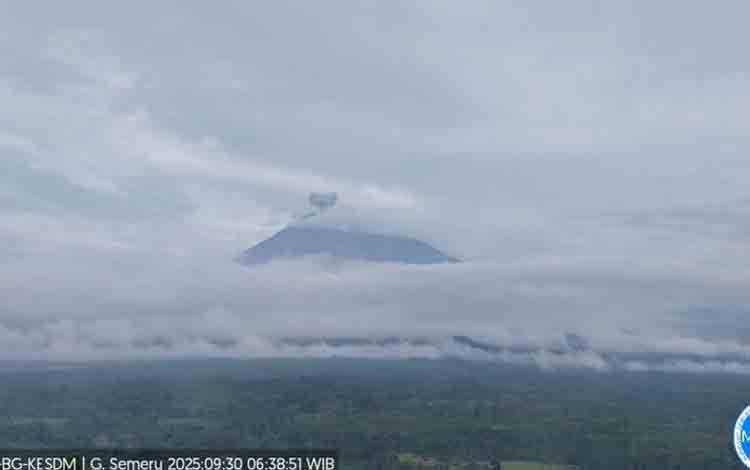 Gunung Semeru Erupsi Lima Kali dengan Tinggi Letusan 500 Meter