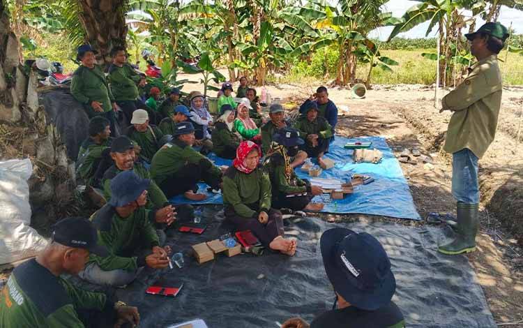Petani Cabai di Kapuas Dibekali Sekolah Lapang Pengendalian Hama Terpadu