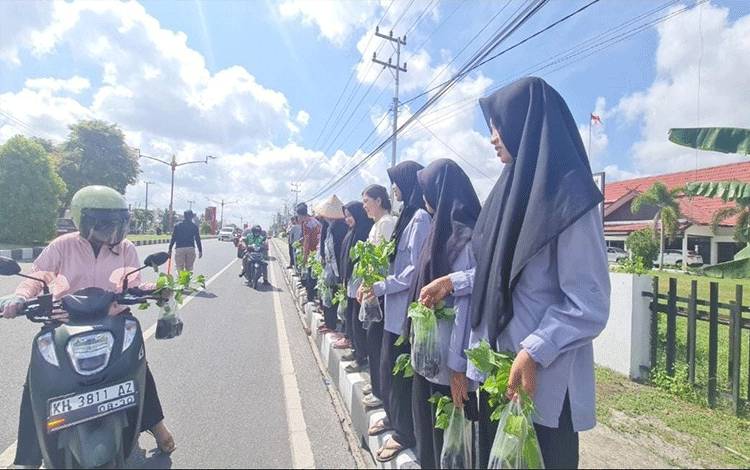 Pemprov Kalteng Bagikan 2.000 Bibit Cabai Gratis ke Masyarakat