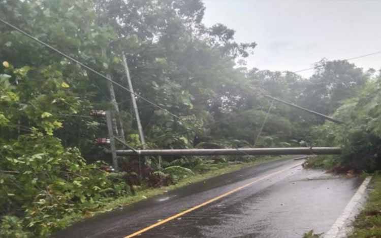 Jalan Sei Hanyo - Kuala Kurun Putus Akibat Pohon Tumbang dan Tiang Listrik Roboh
