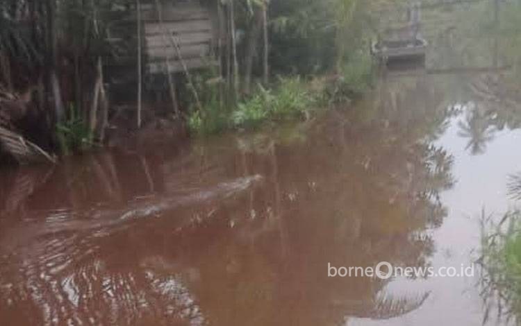 Buaya Teror Warga Kotim