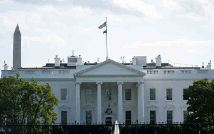 Trump Umumkan Pertarungan UFC Akan Digelar di Halaman Gedung Putih